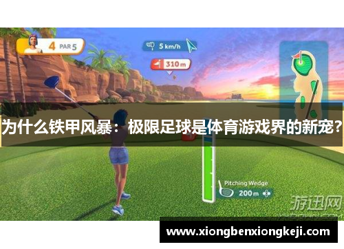 为什么铁甲风暴：极限足球是体育游戏界的新宠？