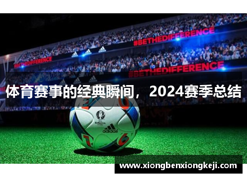 体育赛事的经典瞬间，2024赛季总结