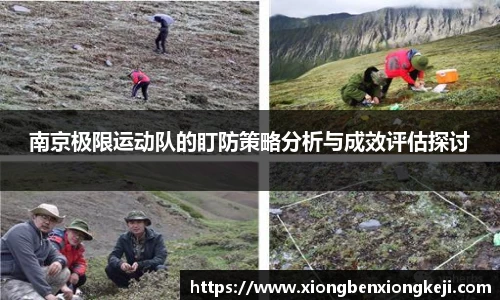 XK星空官方网站